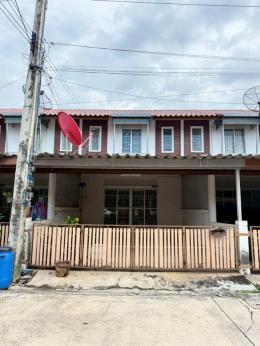 แฟมิลี่ซิตี้ นาป่า 81/164