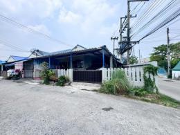 หมู่บ้านเรือนต้น ดอนหัวฬ่อ นา ป่า หมู่บ้านเรือนต้น ดอนหัวฬ่อ นา ป่า